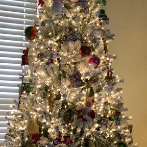 Meet your Posher, Rachell